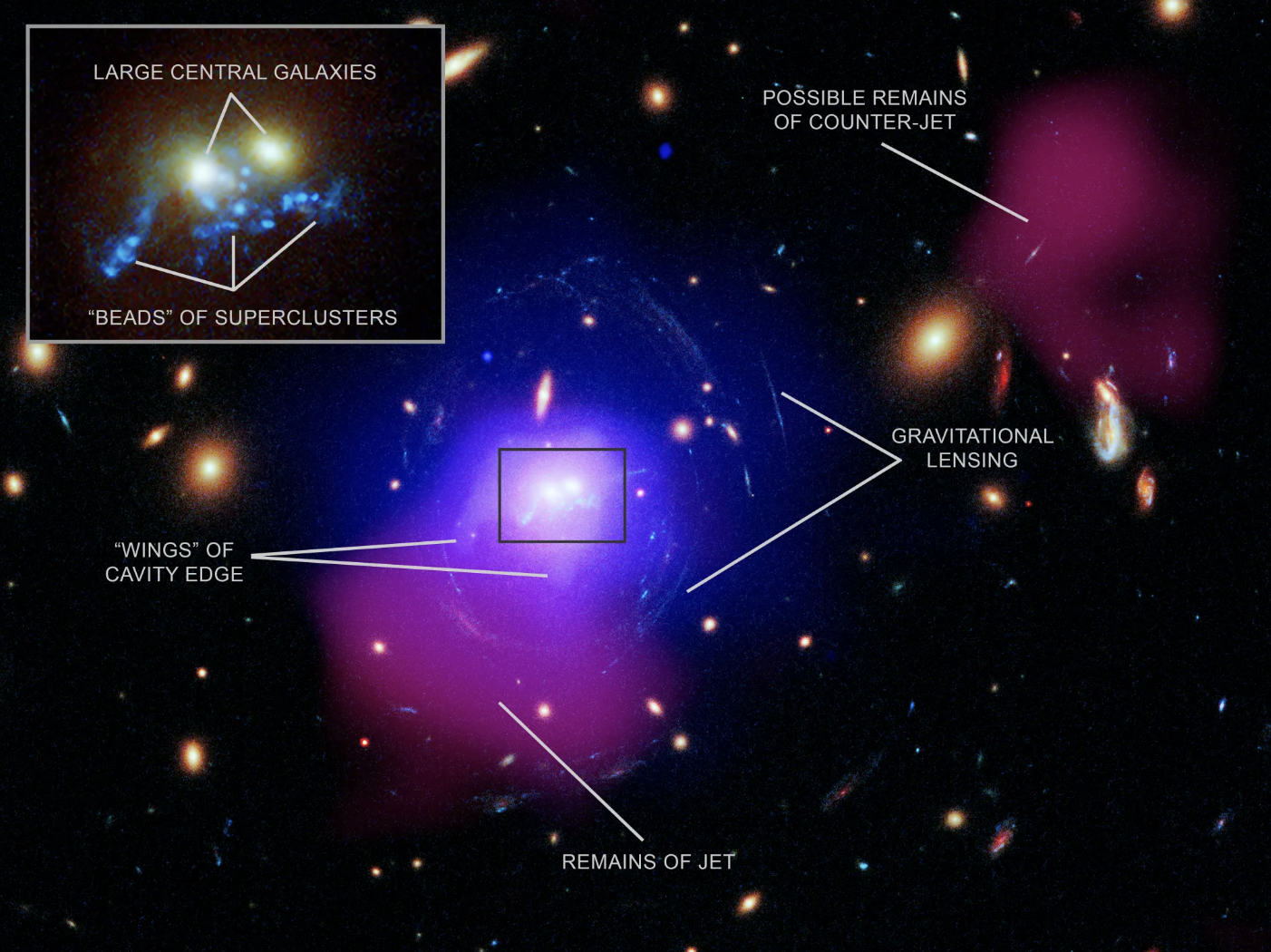 Image Processing: NASA/CXC/SAO/N. Wolk
