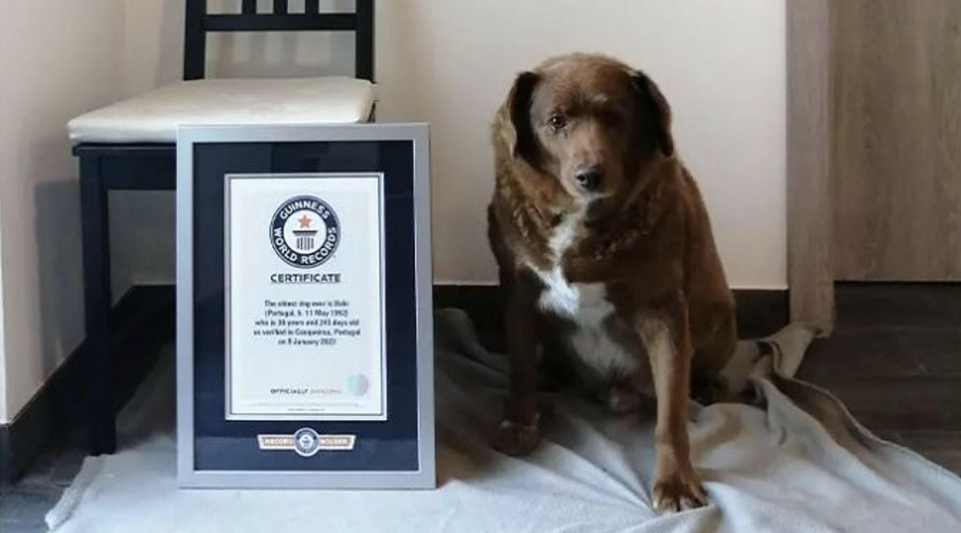 Guinness World Records