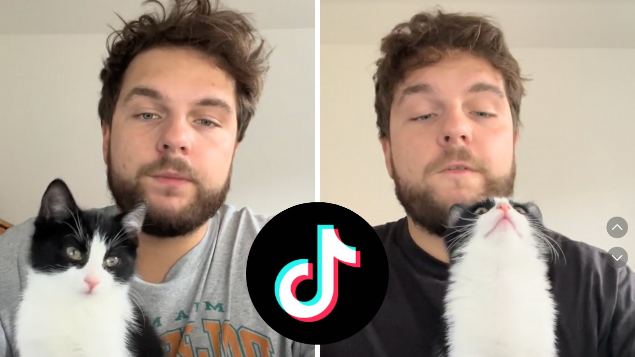 TikTok @arthur.89 with his cat