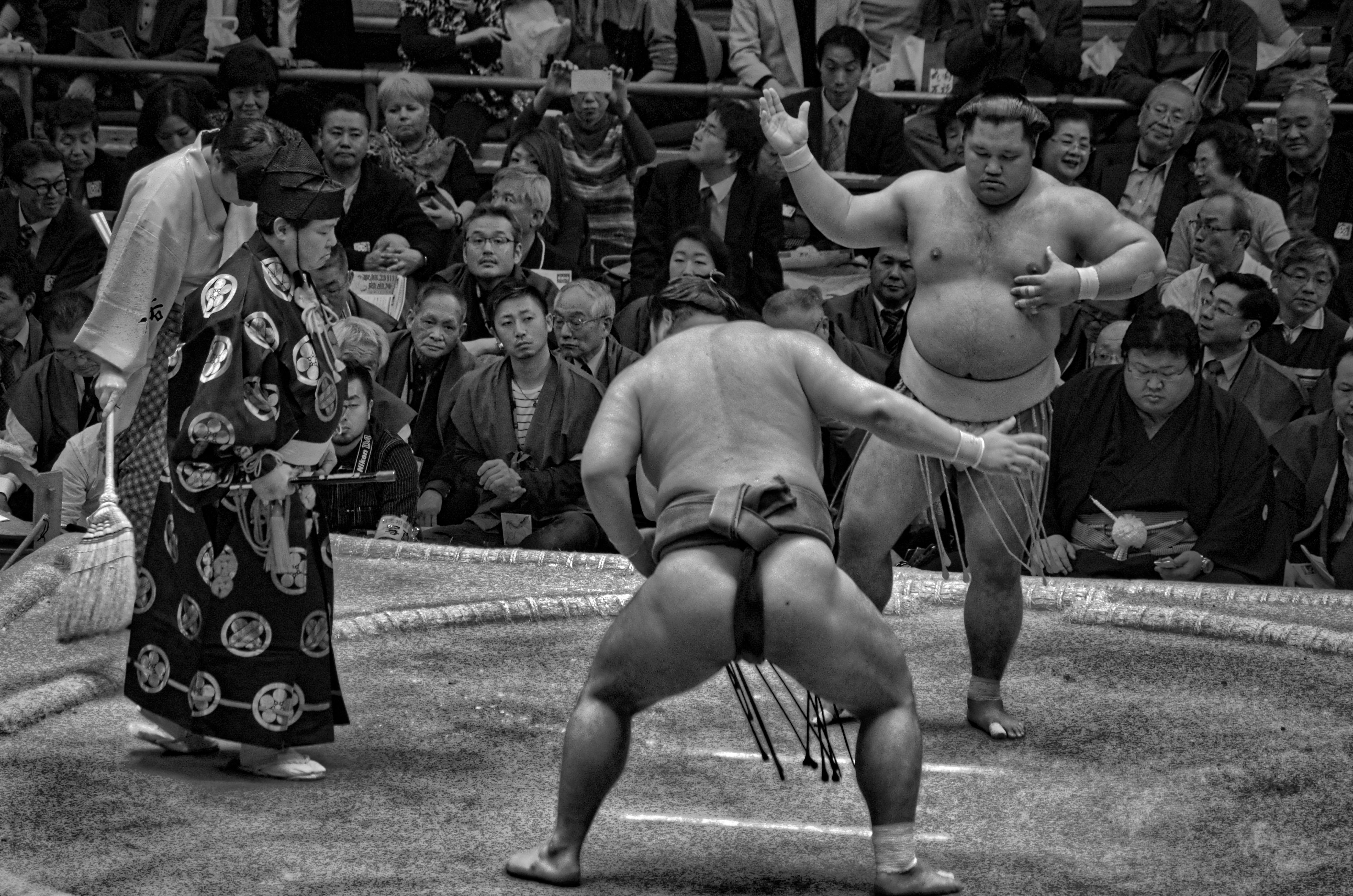 sumo wrestling