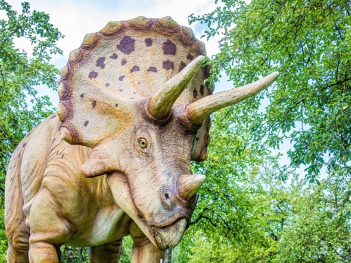 Triceratops