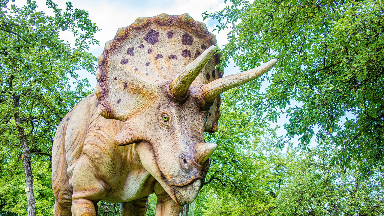 Triceratops