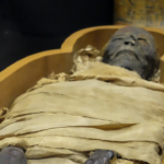 Ancient Egyptian Mummy