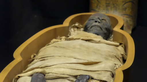 Ancient Egyptian Mummy