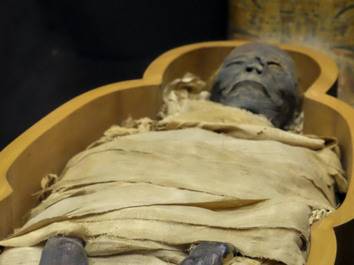 Ancient Egyptian Mummy